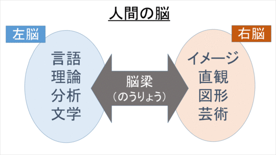 右脳 左脳 論理 対 感性 左脳と右脳の違い